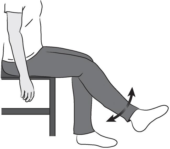 Sitting Supported Knee Bends